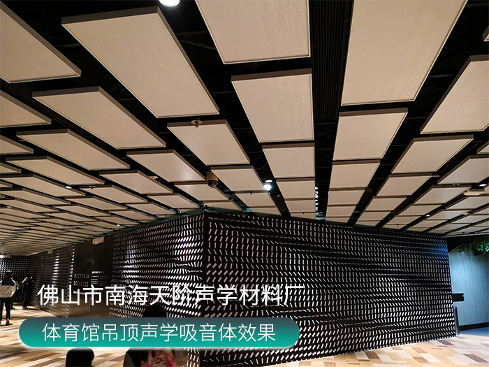 體育館吊頂聲學吸音體效果