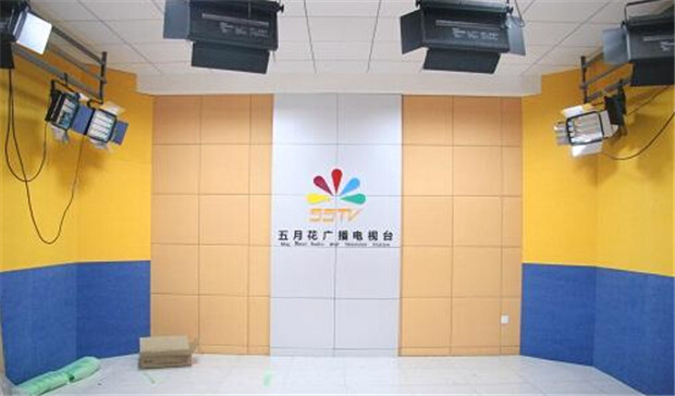 聚酯纖維吸音板行業(yè):雜牌聚酯纖維吸音板擾亂消費(fèi)者視線